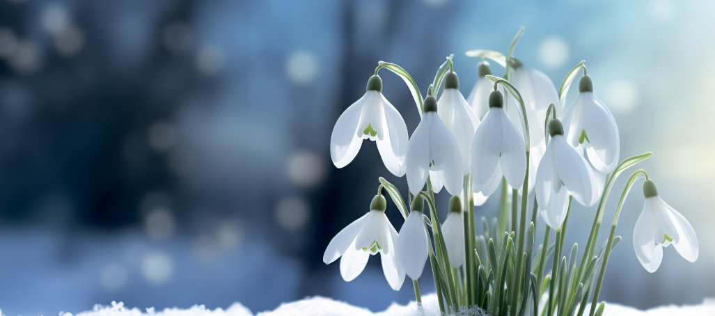 Скидки до 23% на готовые квартиры!