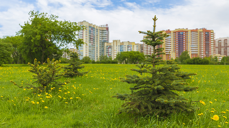 Полюстровский парк