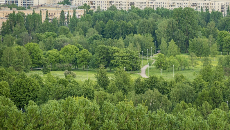 Вид из окна на Полюстровский парк
